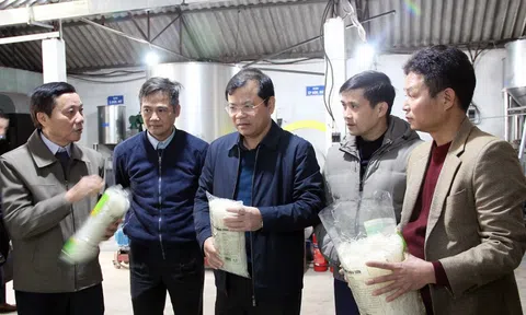Bắc Giang: Đánh giá cao hiệu quả sản xuất kinh doanh của 2 Hợp tác xã huyện Tân Yên